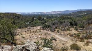 Sonoma Valley View