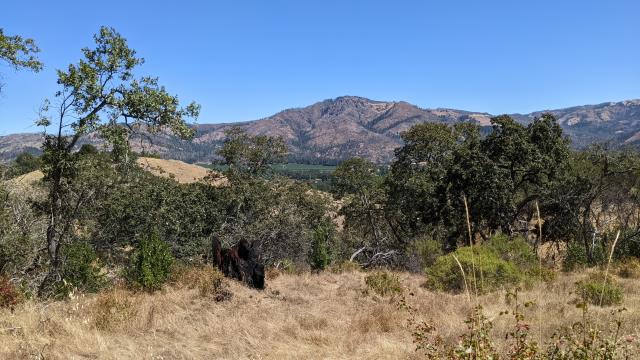 Sonoma Valley