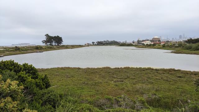 Crissy Field Marsh