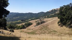 Picnic Bench View