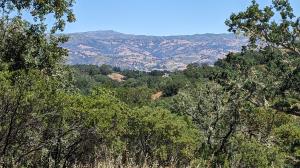 Mayacamas Mountains