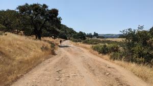 Canyon Trail View