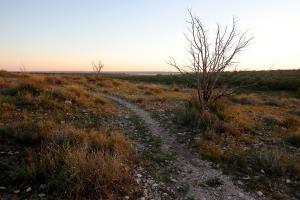 Scenic View on Horny Toad Trail