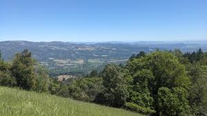 Sonoma Valley