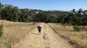 Hayfields Trail