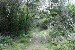 View Of The Trail