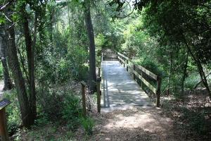 Another View Of The Trail