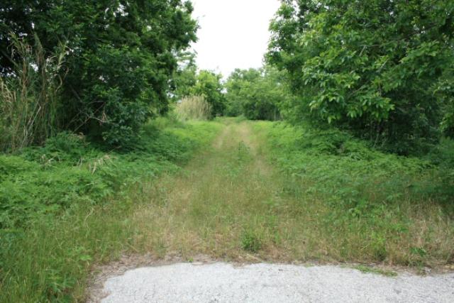 Trinity River Trail