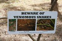 Beware Of Snakes