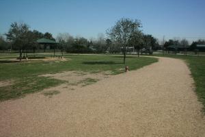 A View Of The Path