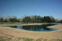 Another View Of The Pond