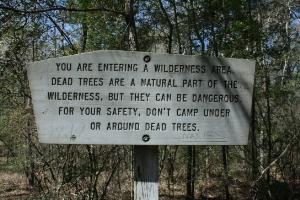 Dead Tree Warning