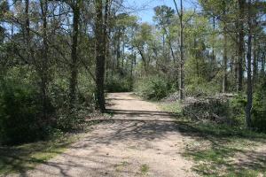 View Of The Trail