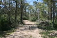 View Of The Trail