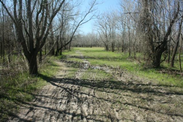 Muddy Patches Along The Noble Road Trail