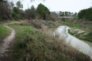 Trail Near Cypresswood Drive