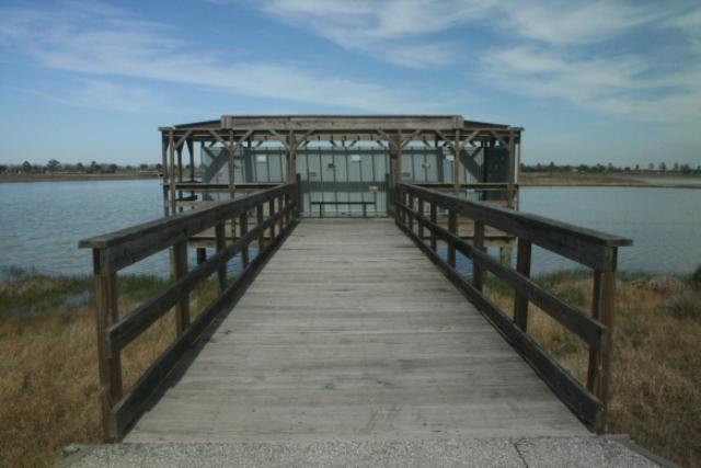 Wildlife Viewing Platforms