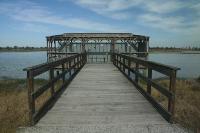 Wildlife Viewing Platforms