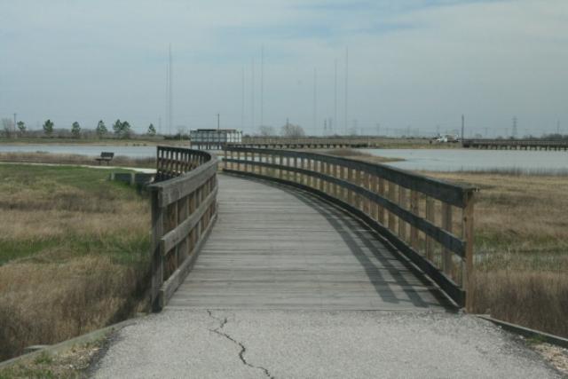 Wooden Bridges