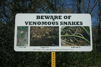 Snake Alert