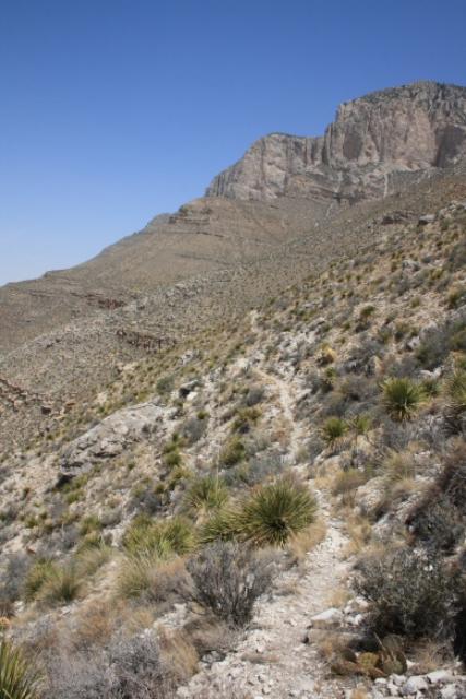 View Of The Trail