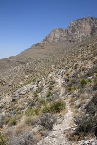 View Of The Trail