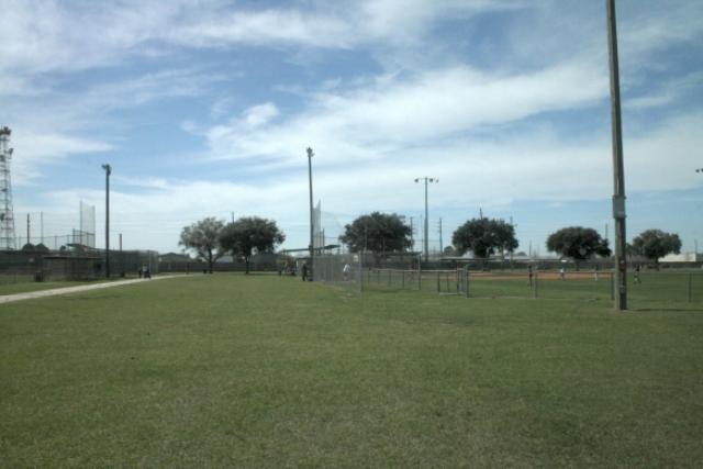 Another View Of The Jogging Trail