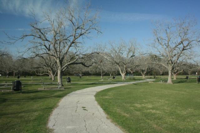 Trail View