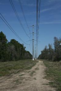 Powerline Trail