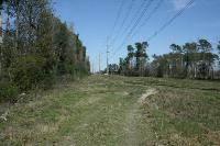 Powerline Trail - Another View