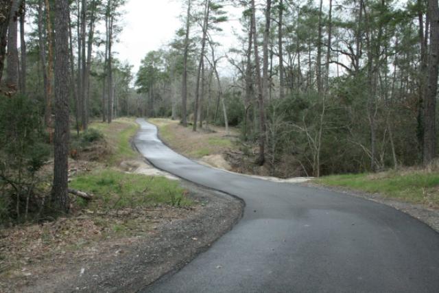 Nice, Wide, Winding, Rolling Trail Through The Woods