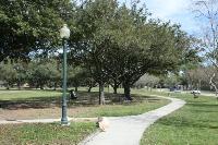 View Of The Trail