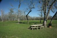 Beautiful Picnic And Play Areas