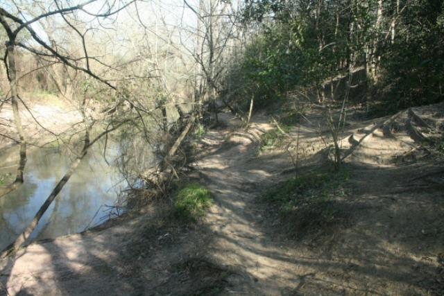 Bayou Trail