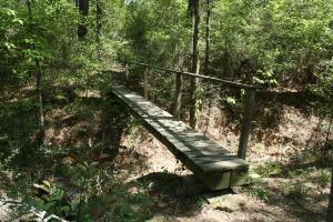 Foot Bridge