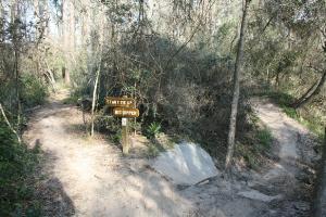 Branching Mountain Bike Trails