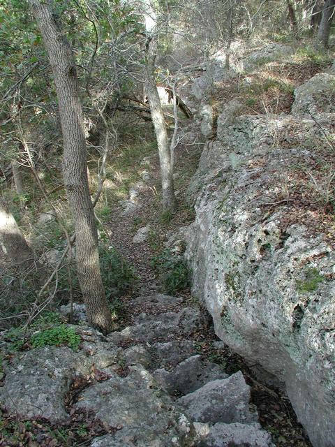 Rocky Trail