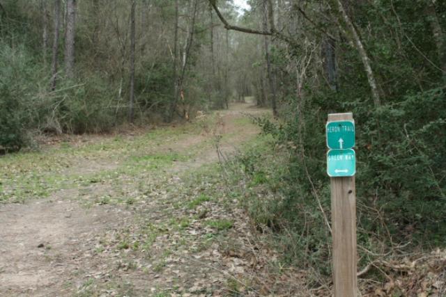 Some Trails Intersect With The Spring Creek Greenway Trail