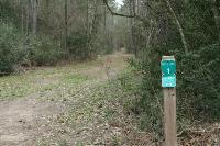 Some Trails Intersect With The Spring Creek Greenway Trail