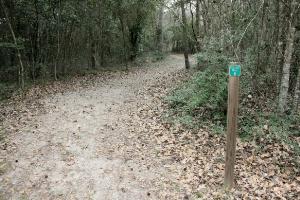 Creekside Trail