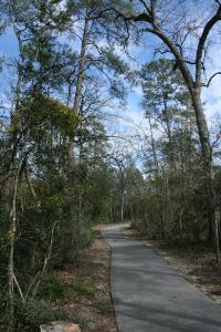 Another View Of The Trail