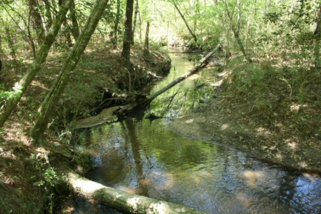 Big Creek