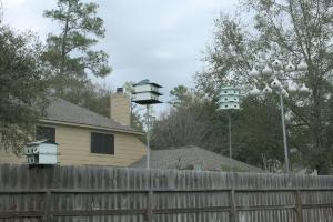 Birdhouse City