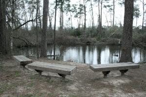 Small Pond At The End Of The Oxbow Trail