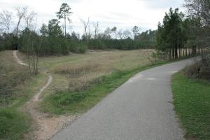 Trail To The Cypresswood Hike & Bike Path