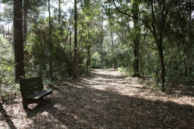 View Of The Trail