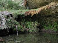 The waterfall and grotto is one of the highlights of the trail and features an abundance of fern.