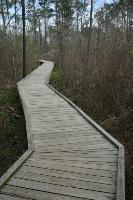 Boardwalks