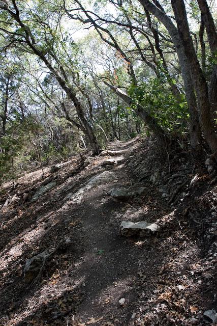 Cactus Rocks Trail