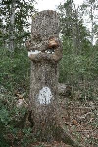 Sign-Eating Tree